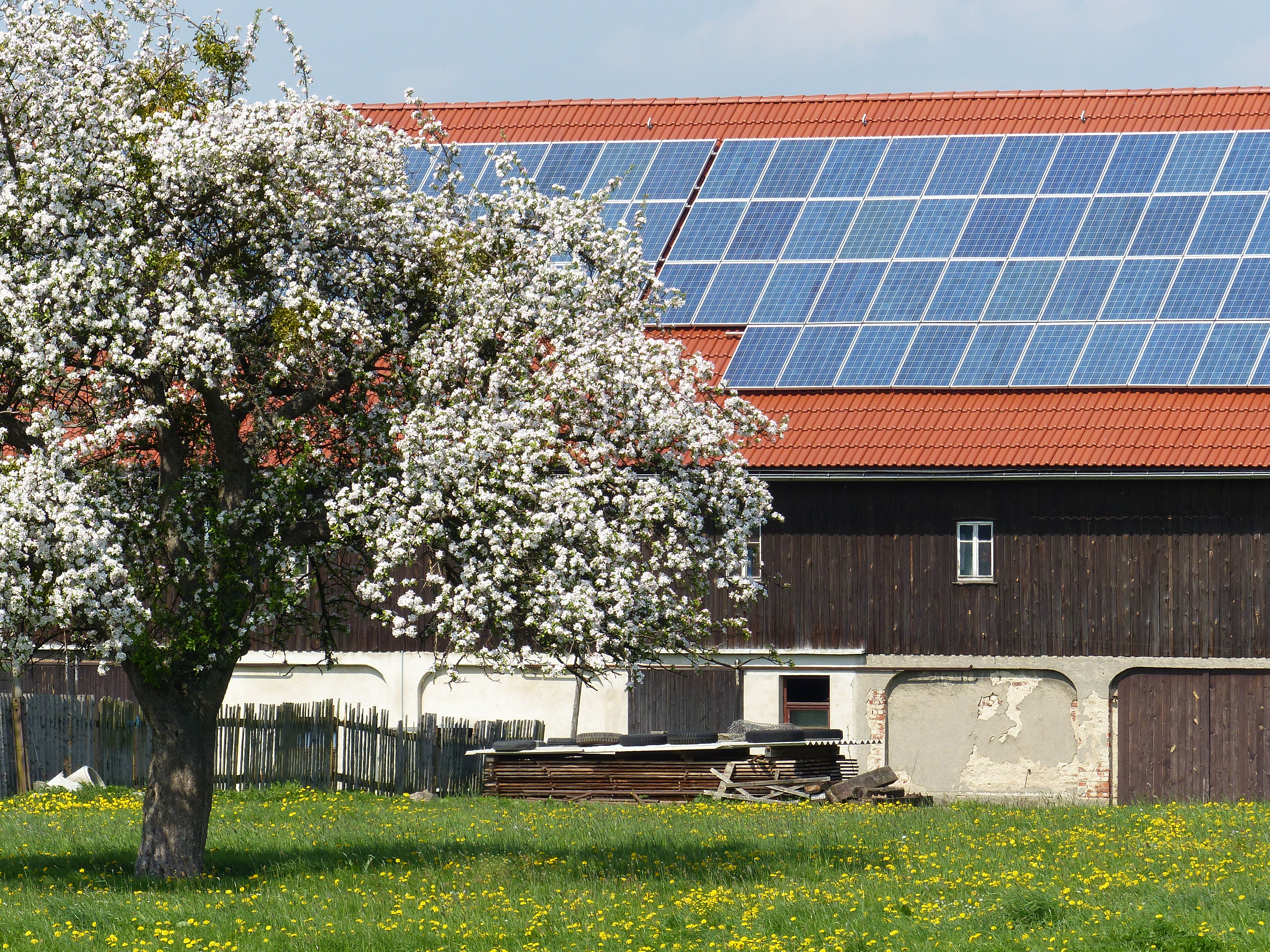 Solar Scheune Kirsche Energiewende